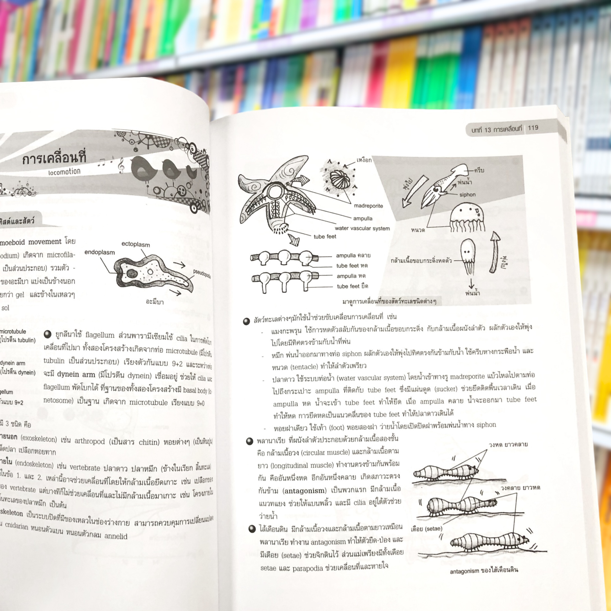 หนังสือ ชีววิทยาสำหรับน้ำเรียนมัธยมปลาย ชีวะเต่าทอง