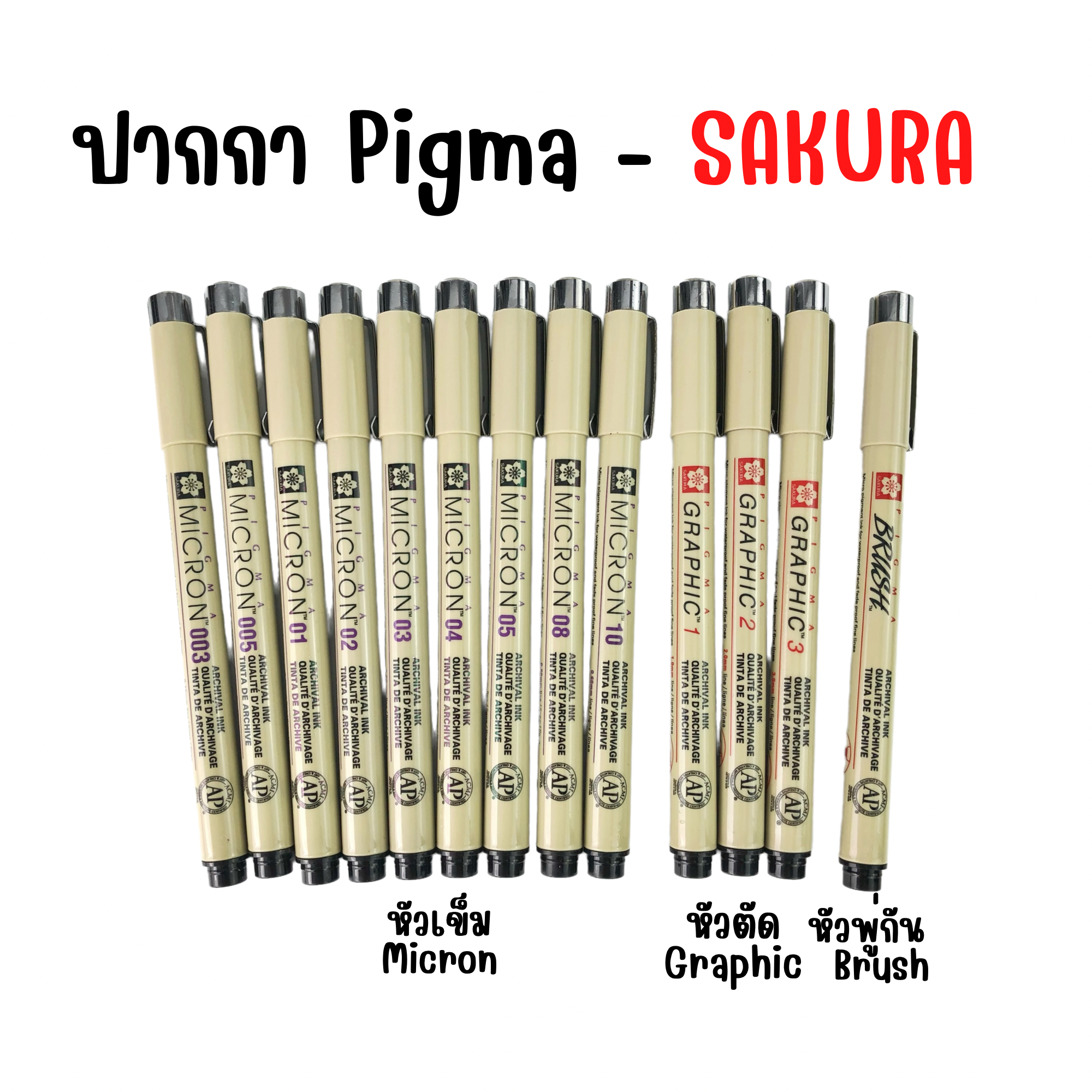 ปากกา PIGMA พิกม่า ปากกาตัดเส้น หัวเข็ม หัวตัด หัวพู่กัน SAKURA