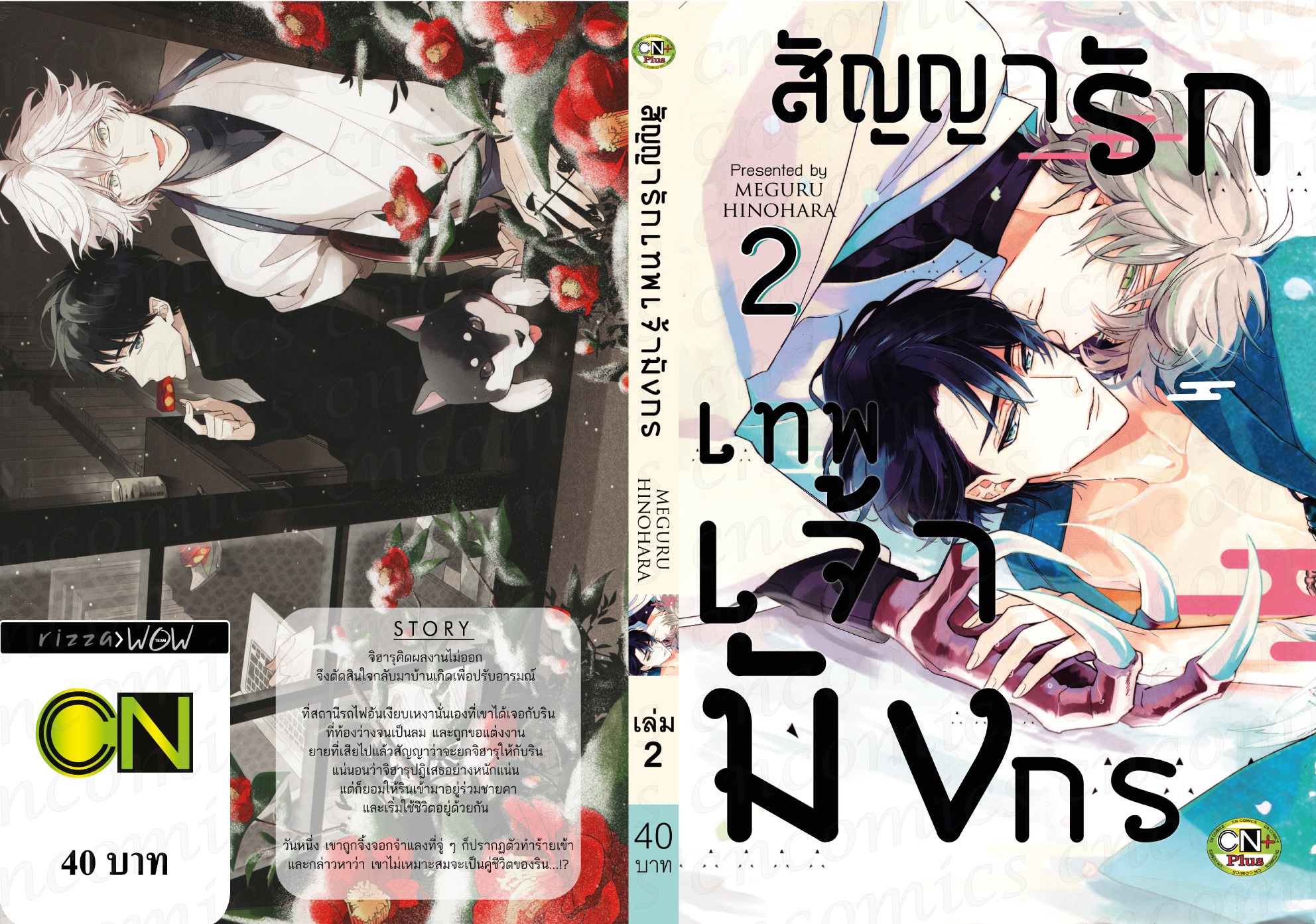สัญญารักเทพเจ้ามังกร เล่ม 2 : MEGURU HINOHARA