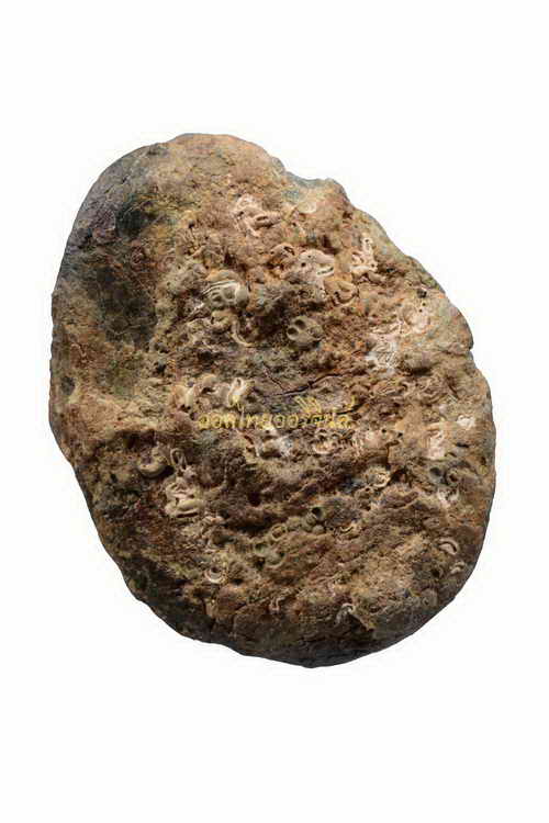 เบี้ยแก้ สมัยอยูธา ยาง3.2เซนติเมตร 62121353