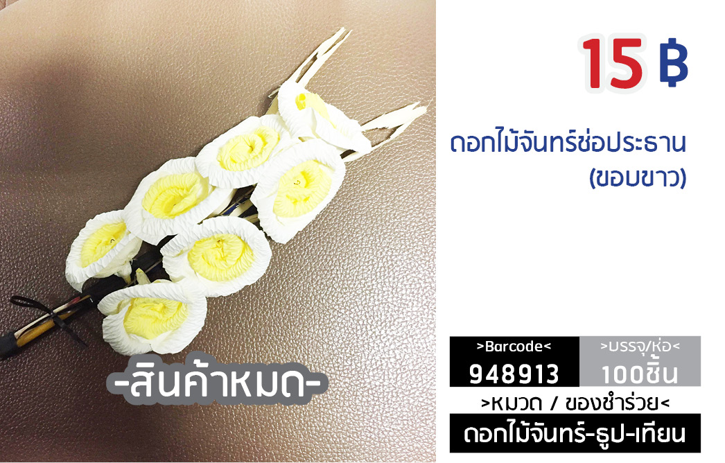 ดอกไม้จันทร์ช่อประธาน ขอบขาว