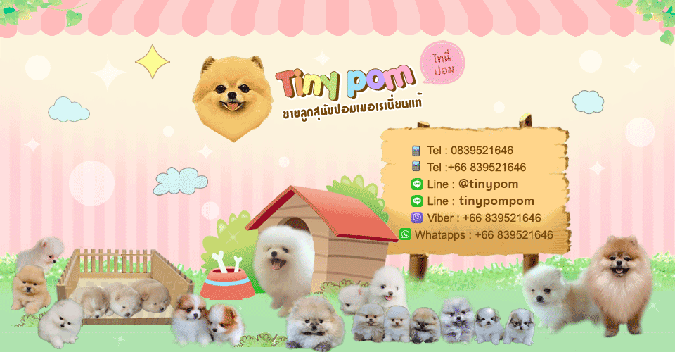 Tinypom