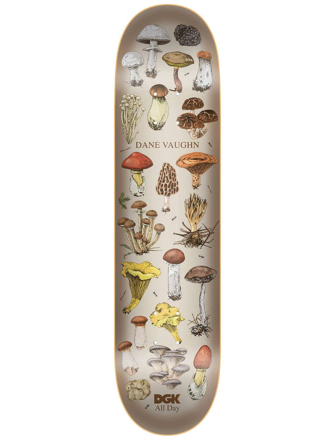 DGK All Night Vaughn Skateboard Deck 8.25"