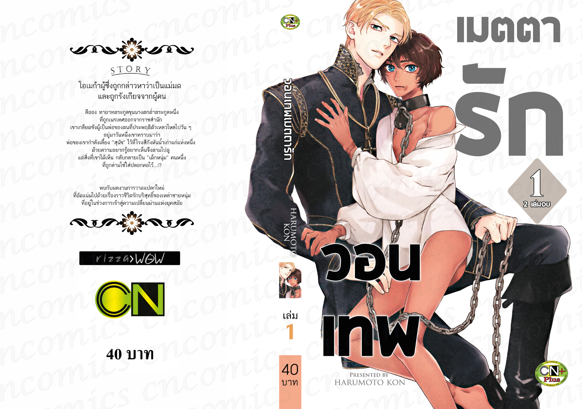 วอนเทพเมตตารัก 2 เล่มจบ