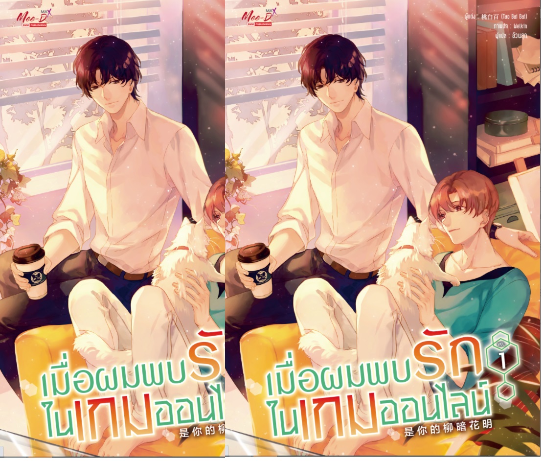 ชุด เมื่อผมพบรักในเกมออนไลน์ 2เล่มจบ : Tao Bai Bai