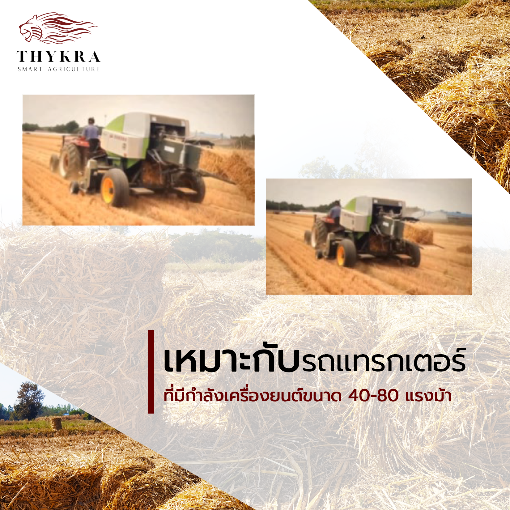 เครื่องอัดฟางก้อนทรงสี่เหลี่ยม รุ่น 190 (กำลังผลิต 300-400 ก้อน/ชั่วโมง) เครื่องอัดฟางข้าว เครื่องม้วนฟาง เครื่องอัดฟางก้อนกลม รถอัดฟาง ที่อัดฟาง เครื่องอัดก้อน เครื่องอัดหญ้าแห้ง เครื่องอัดฟางราคาถูก Square Balers