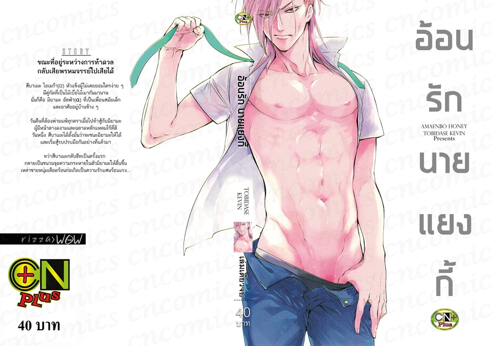 อ้อนรัก นายแยงกี้: AMAENBO HONEY / TOBIDASE KEVIN - แนวโอเมก้า