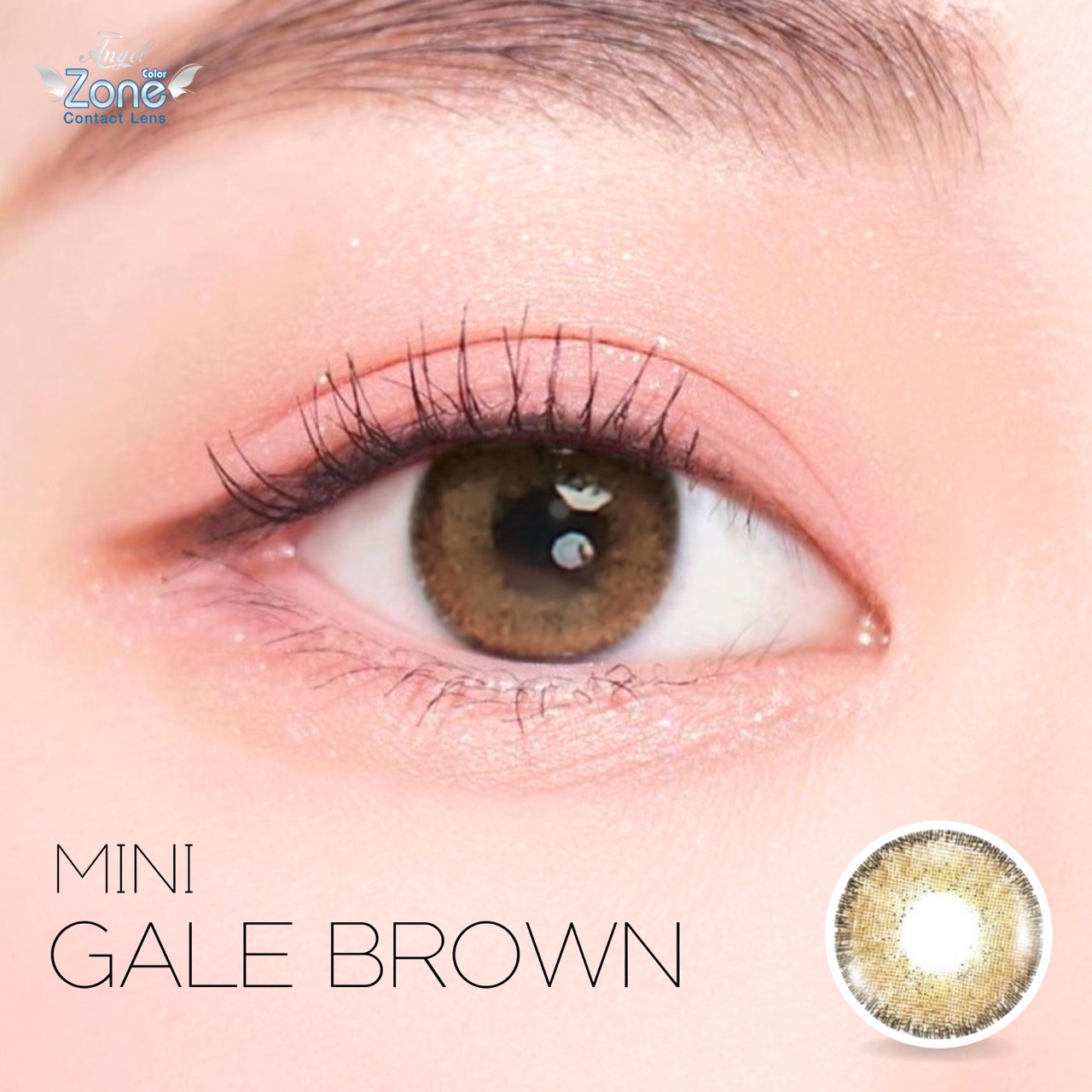 AZ163 รุ่น 14.2 Mini Gale Brown Step 1-4 AZ Y