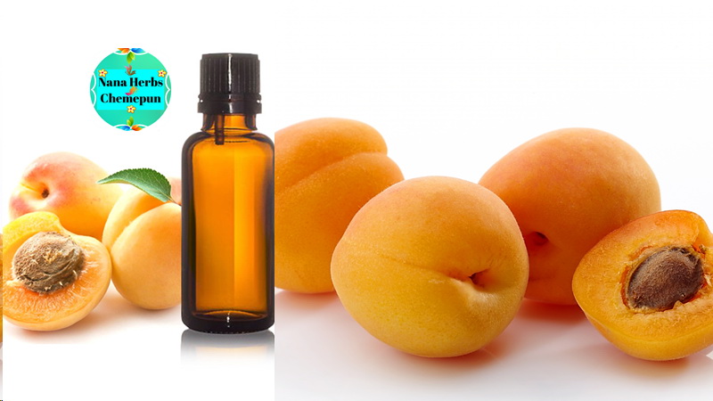 น้ำมันเเอพพริคอท/แอปปริคอท เคอเนล รีไฟน์ /Apricot Kernel Oil-Refined