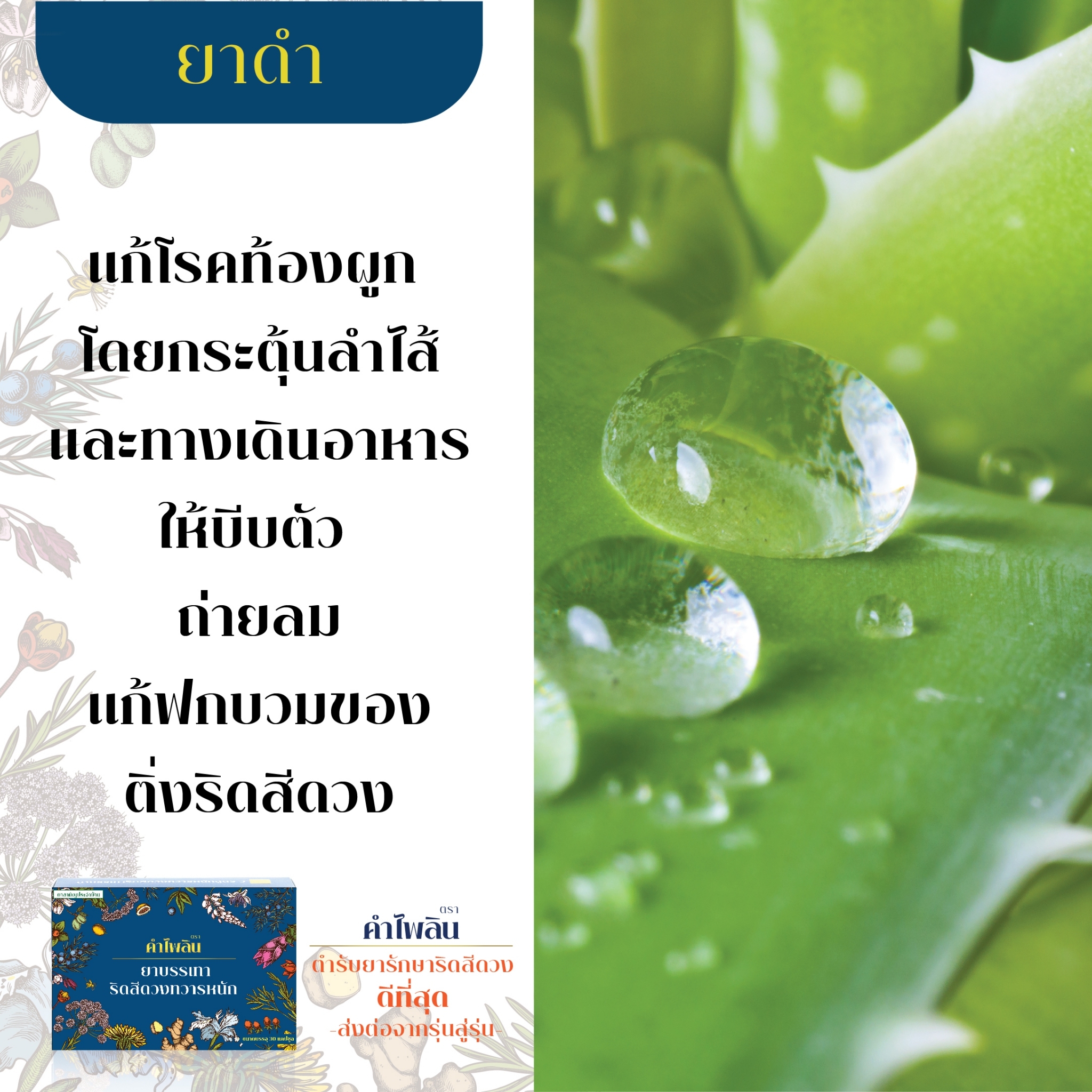 ยารักษาริดสีดวง