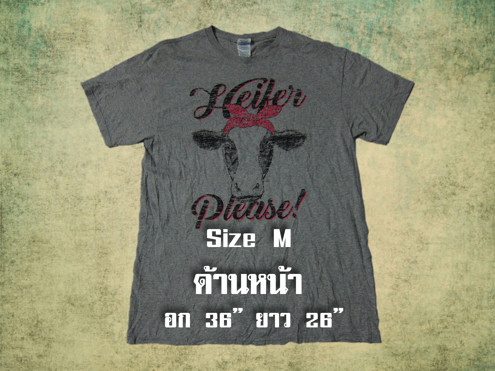 เสื้อยืดมือสอง USA แนววินเทจ (แขนสั้น)