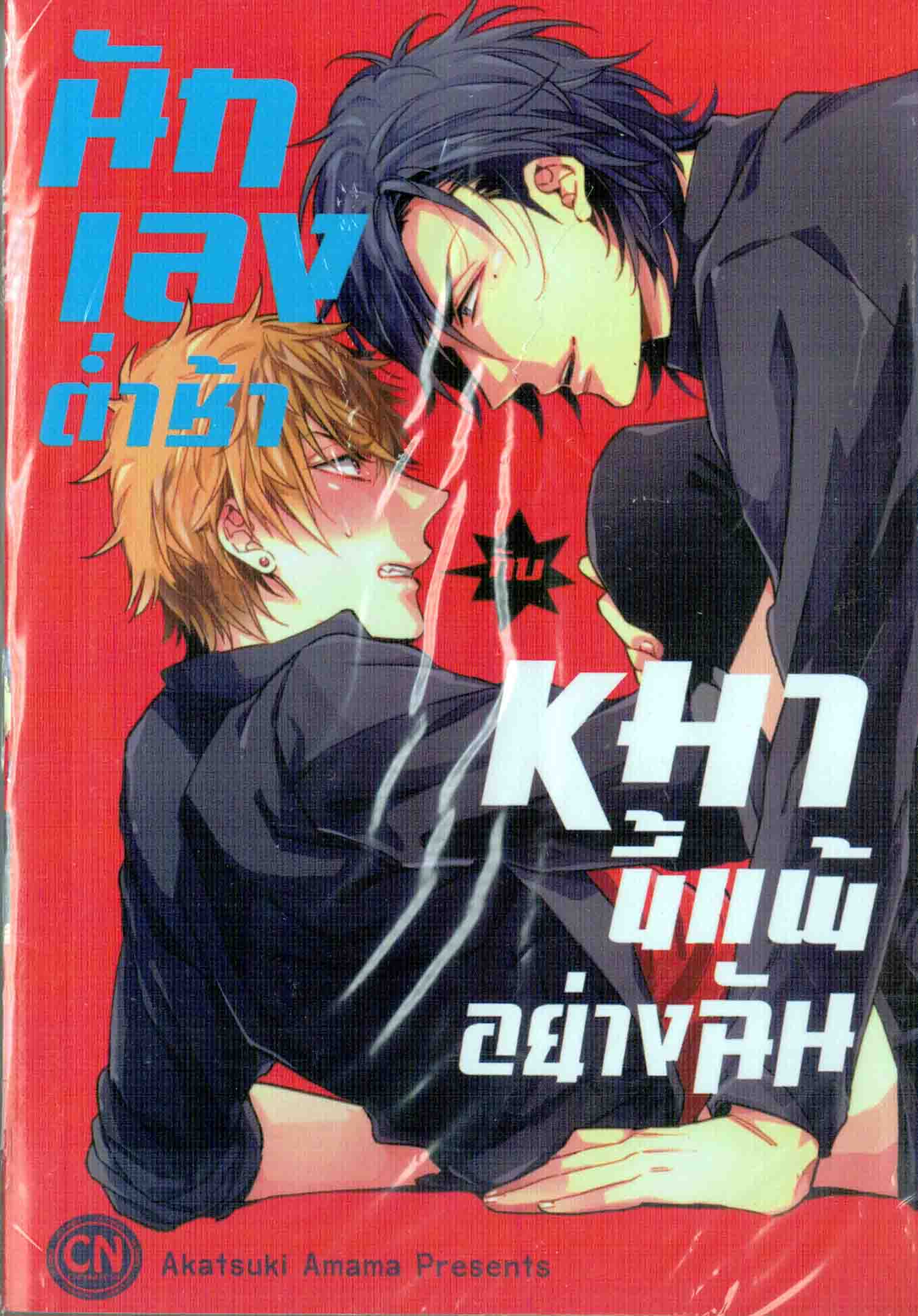 นักเลงต่ำช้ากับหมาขี้แพ้อย่างฉัน : Akatsuki Amama