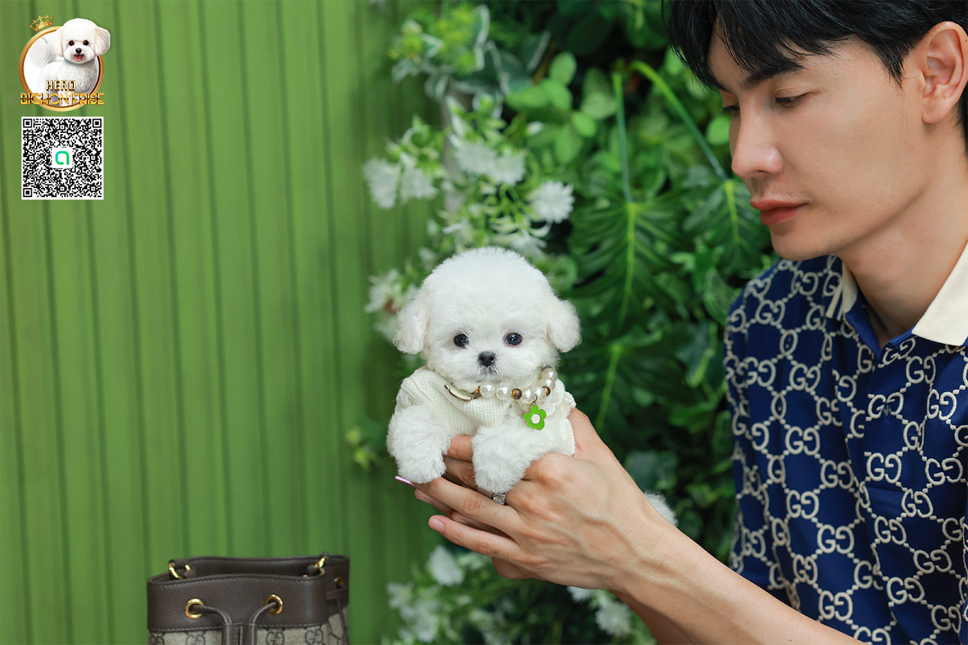 มินิบิชอง BCF-24529 เพศหญิง สีขาว น่ารักมาก ขนนุ่มขนแน่น หน้าแบ๊ว เห็นแล้วใจละลายมาก ถ้าได้อุ้มแล้วจะวางไม่ลงแน่นอน มีใบรับรองจากสมาคมพัฒนาพันธุ์สุนัข (ใบเพ็ดดีกรีเต็มใบ) ส่งทั่วประเทศ