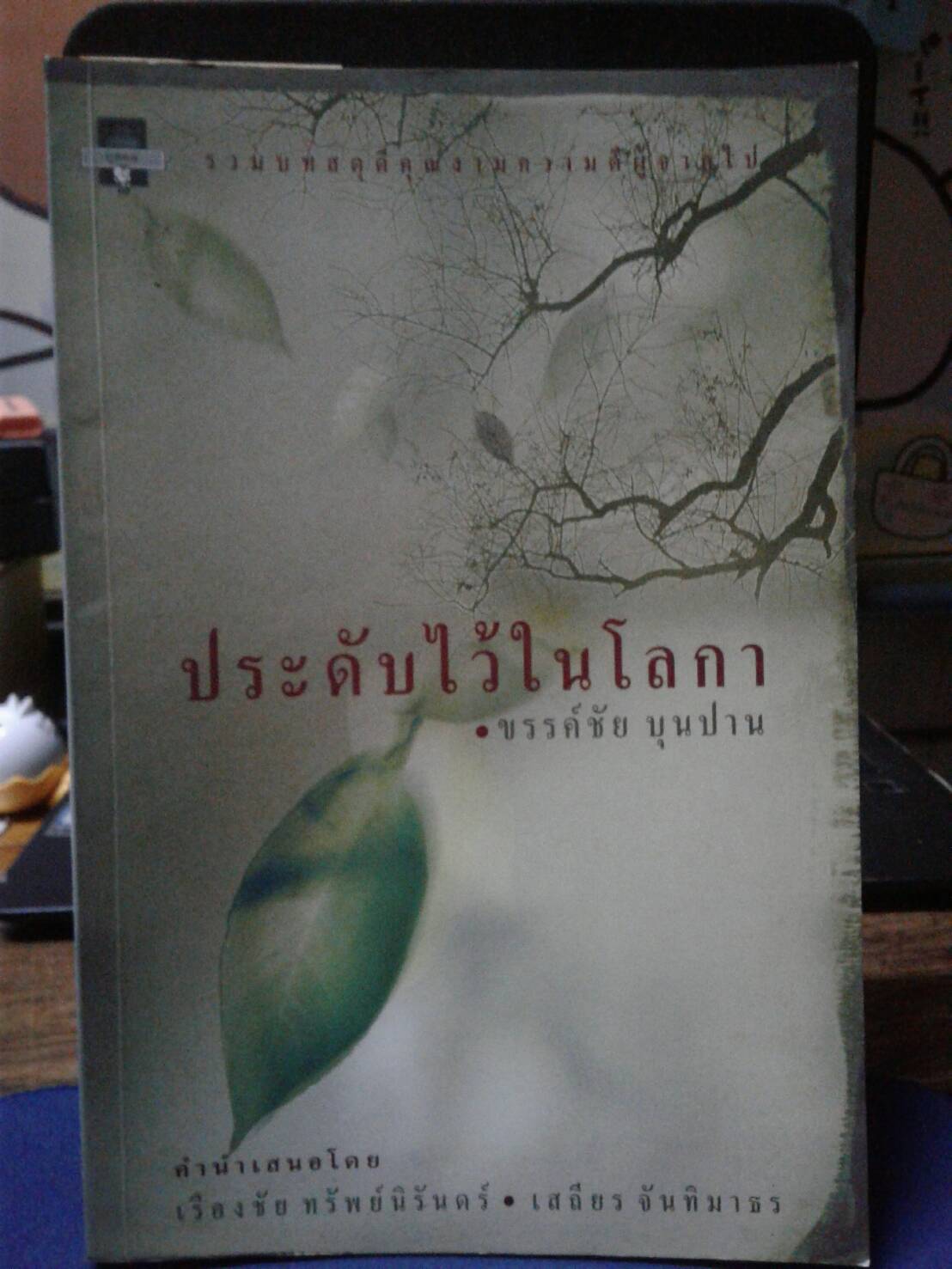 ประดับไว้ในโลกา โดย ขรรค์ชัย บุญปาน