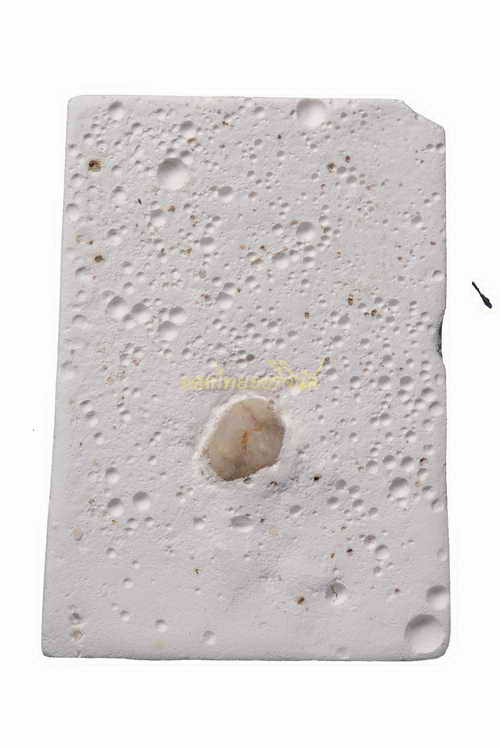 +พระที่ปลุกเสกด้วยคาถามหาจักรพรรดิ์ หลวงตาม้า สำนักสงฆ์พรหมปัญโญ เนื้อผง เชียงใหม่ 63070323