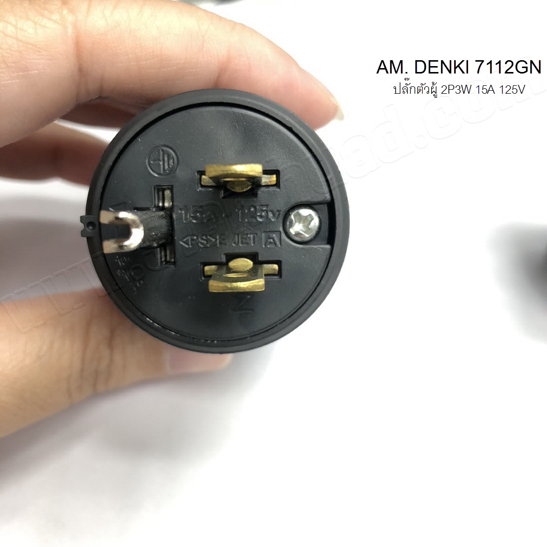 ปลั๊กไฟ เต้ารับ ฝาครอบ สำหรับโรงงาน รุ่นแบบ ธรรมดา และ ชนิดกันน้ำ PLUG, CONNECTOR, RECEPTACLE & PLATE (AMERICAN DENKI)
