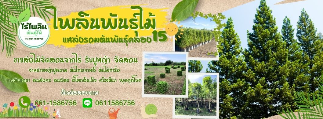 แหล่งรวมต้นพันธุ์คลอง15