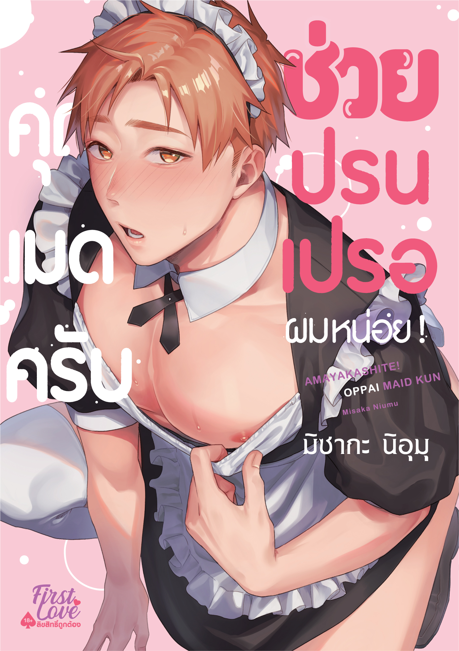 คุณเมดครับ ช่วยปรนเปรอผมหน่อย!