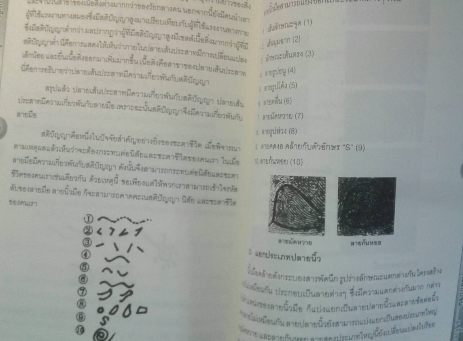 คัมภีร์นรลักษณ์แบบจีน : ม. อึ้งอรุณ