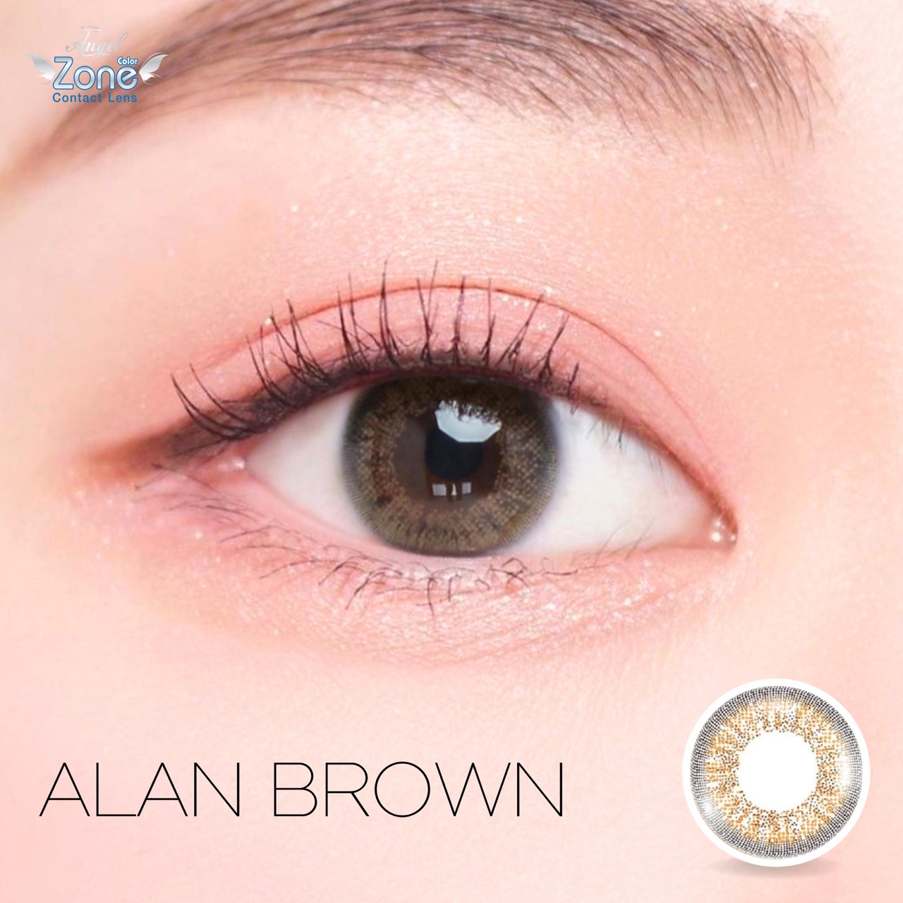AZ104 รุ่น 14.2 Alan Brown Step 1-3 AZ Y