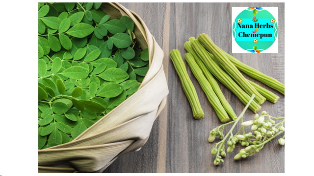 ผงใบมะรุม100 % Moringa Powder