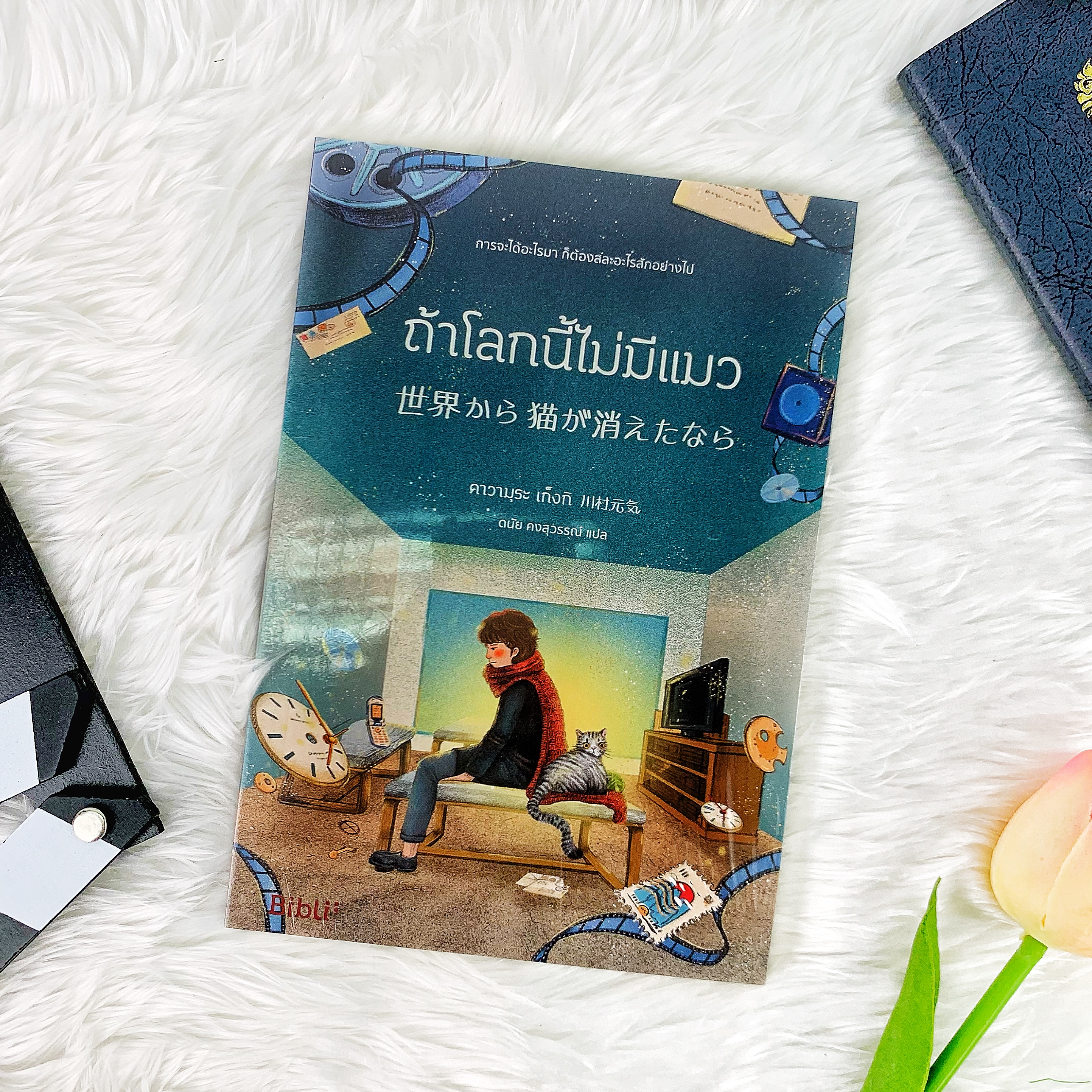 หนังสือ ถ้าโลกนี้ไม่มีแมว