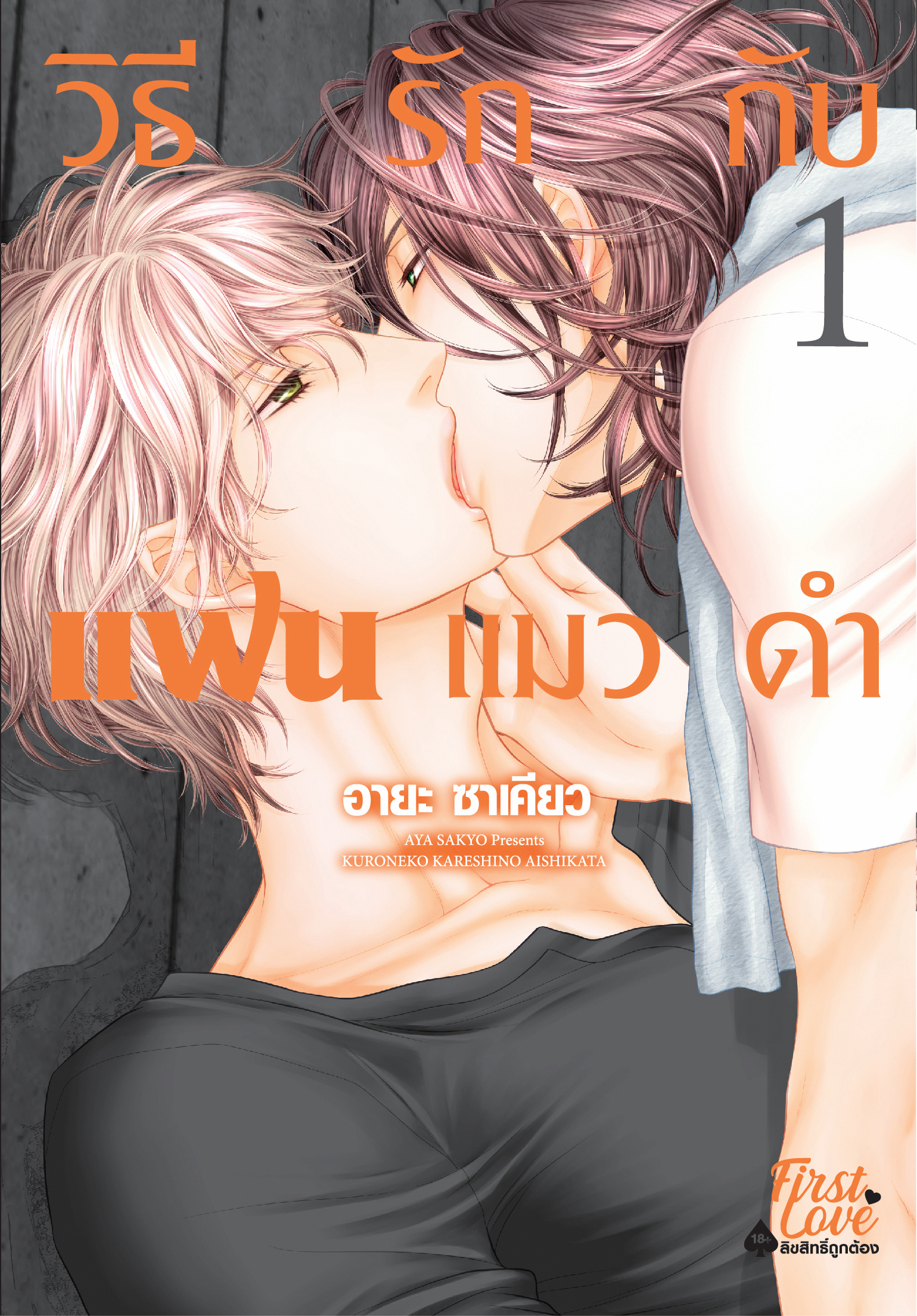 วิธีรักกับแฟนแมวดำ เล่ม 1