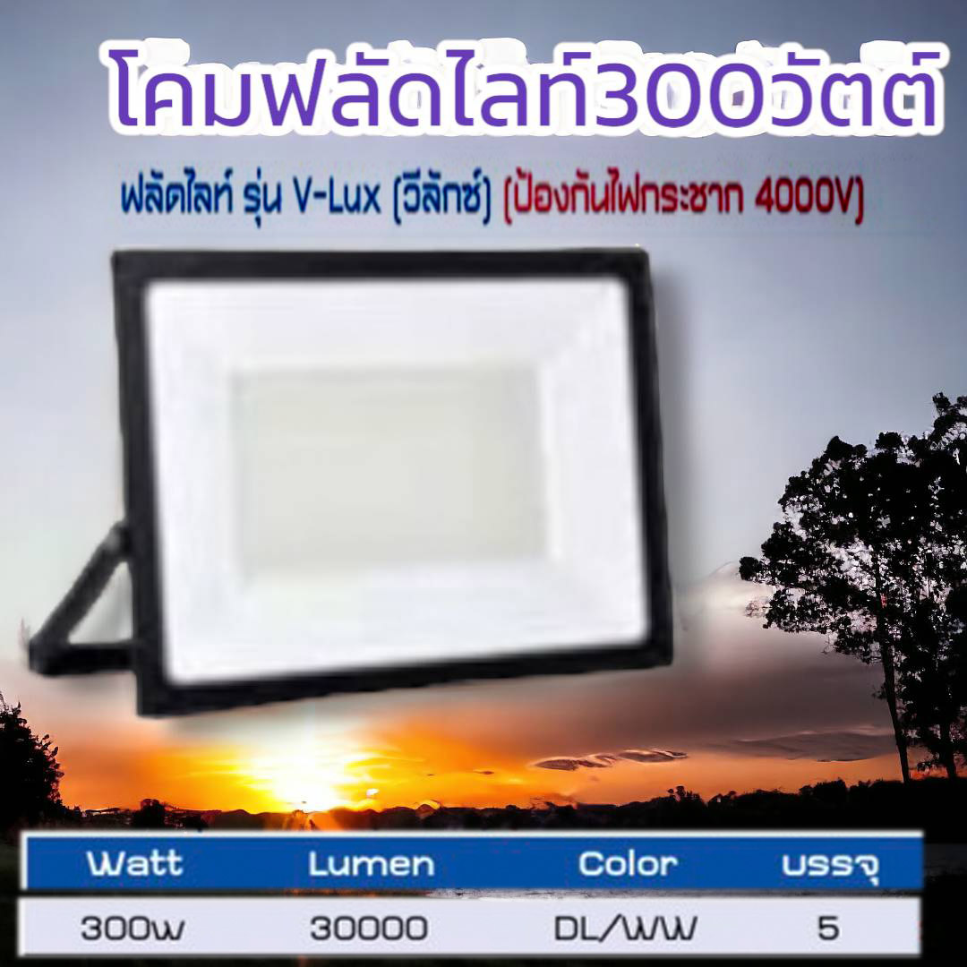 โคมฟลัดไลท์300วัตต์ บรรจุ5โคม/ลัง