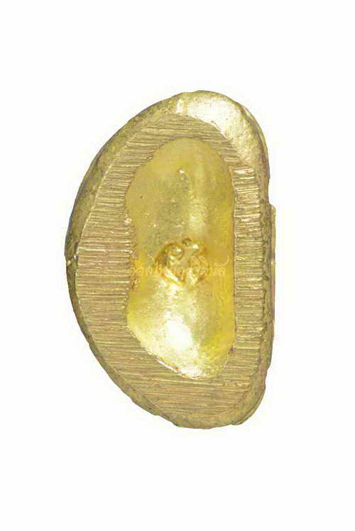 +พระชัยวัฒน์ สมปรารถนา หลวงพ่อเชียร มหาญาโณ สำนักสงฆ์เทพเจริญ ปี2563 เนื้อทองทิพย์ สระแก้ว 64010510