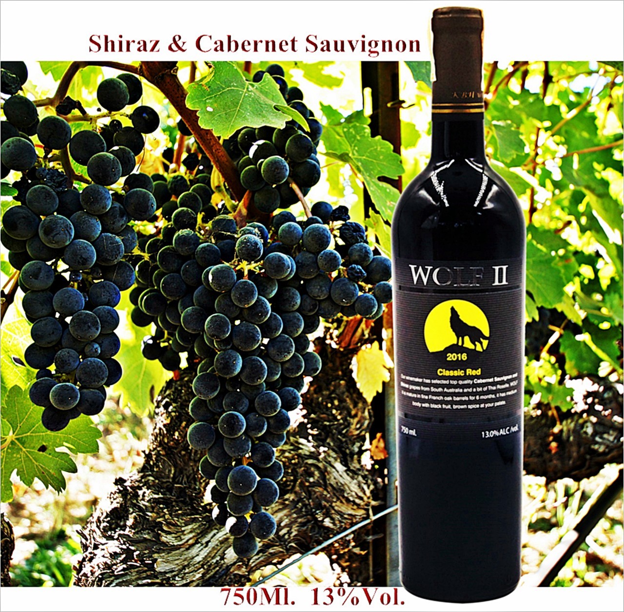 Wolf II Dry Red Wine Shiraz-Cabernet Sauvignon ไวน์แดงองุ่น ชีราซ-คาเบอร์เน่ต์โซวีนญอง