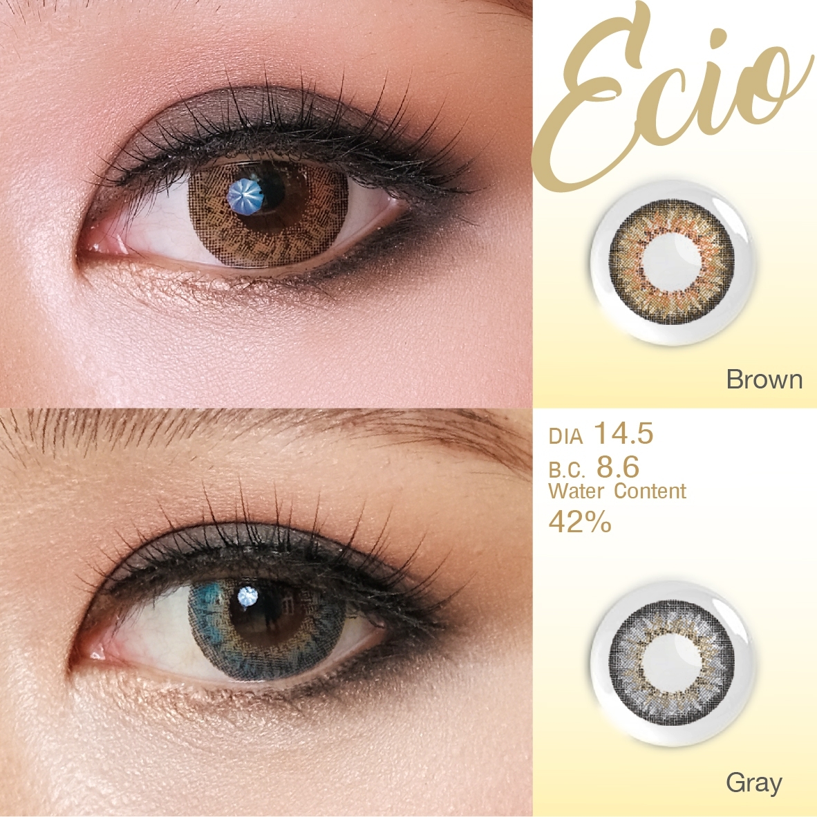AZ100 รุ่น 14.5 Ecio Brown Step 1-2 AZN Y