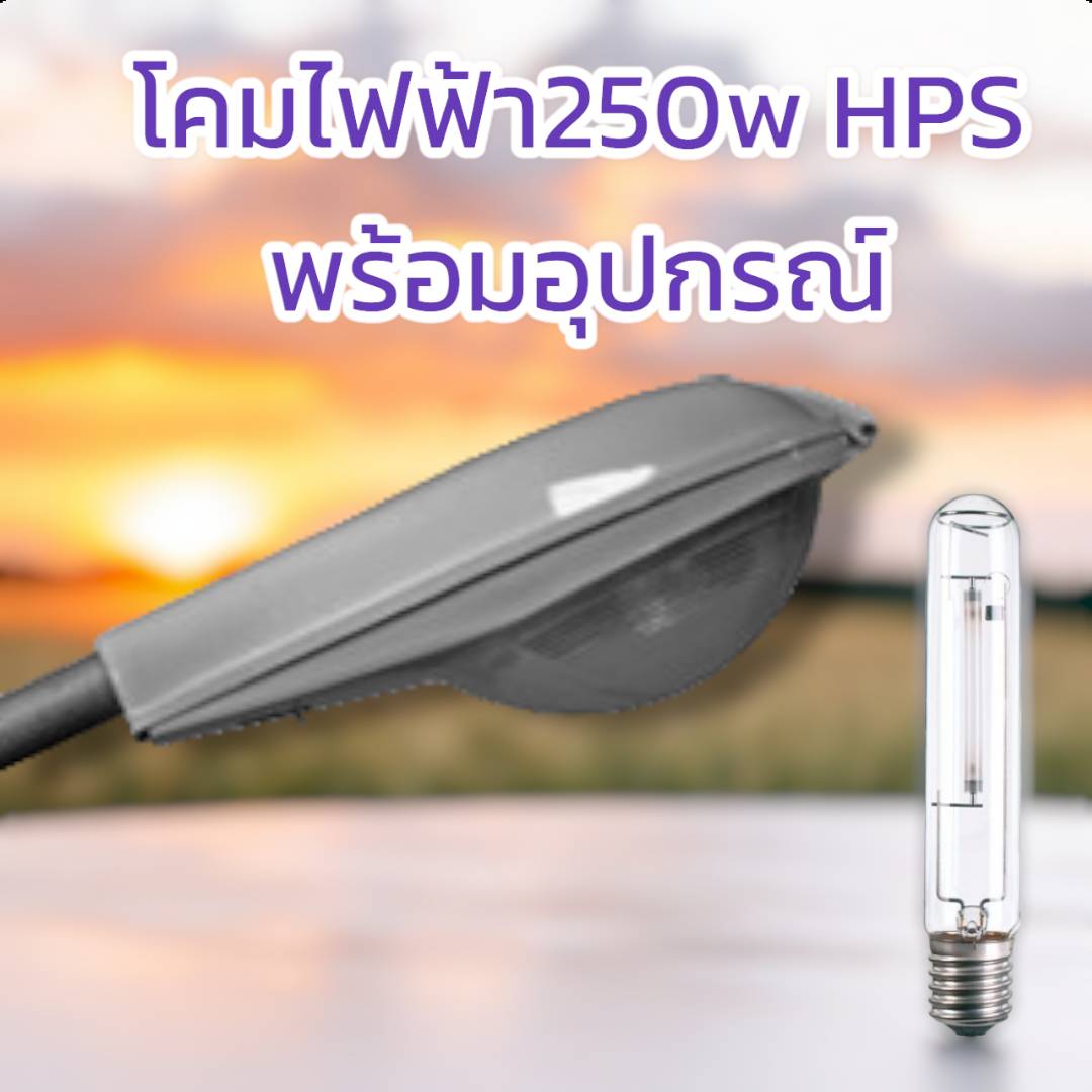 โคมถนน+หลอด250w HPSพร้อมอุปกรณ์ จำนวน 1ชุด