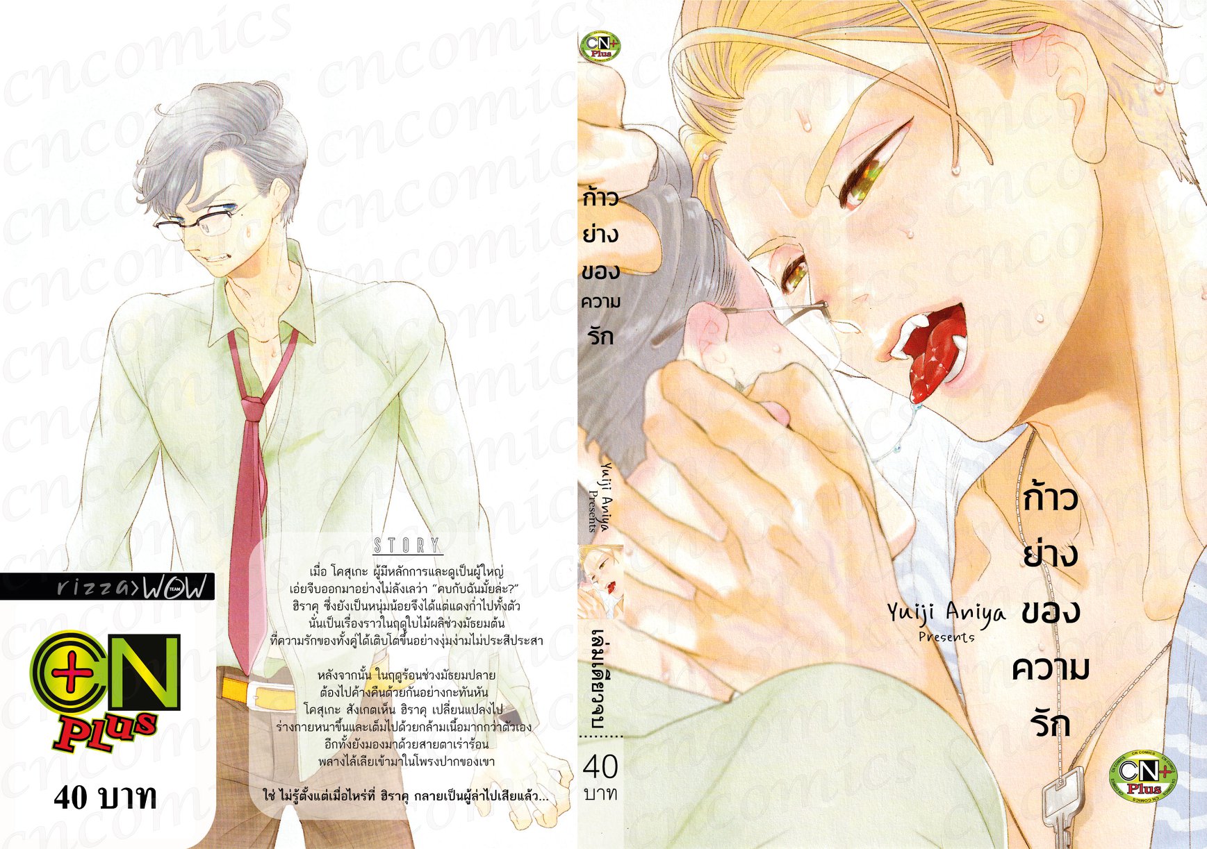 ก้าวย่างของความรัก : Yuiji Aniya