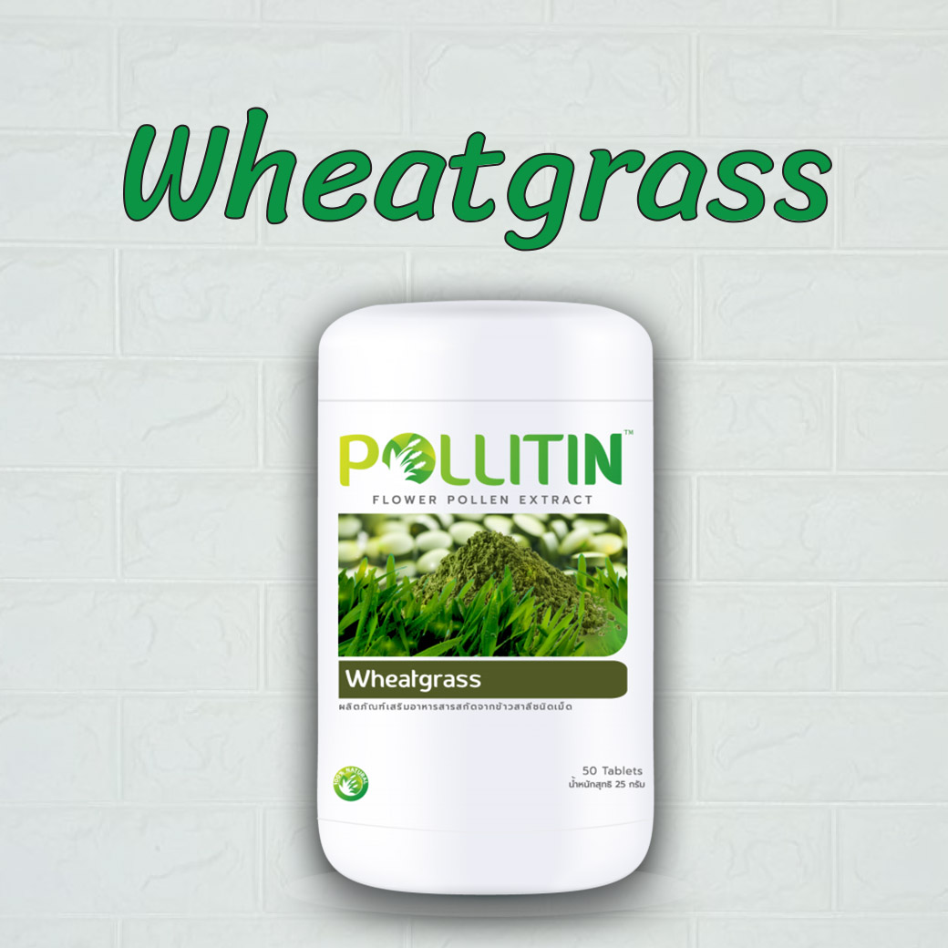 Wheatgrass