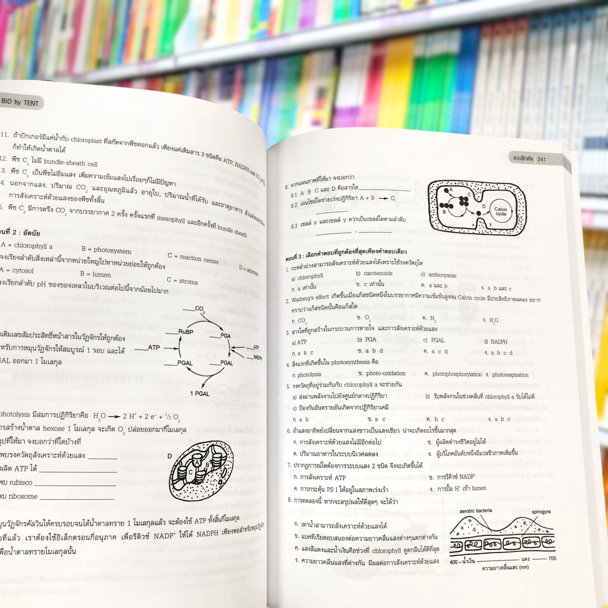 หนังสือ ชีววิทยาสำหรับน้ำเรียนมัธยมปลาย ชีวะเต่าทอง