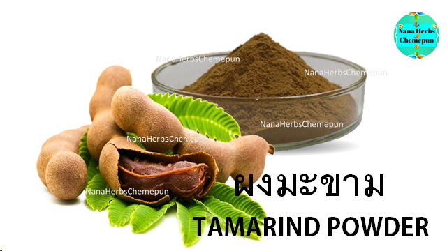 ผงเนื้อมะขาม 100% TAMARIND POWDER