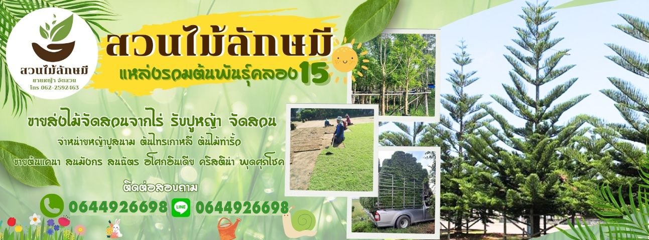 ไม้ขุดล้อม