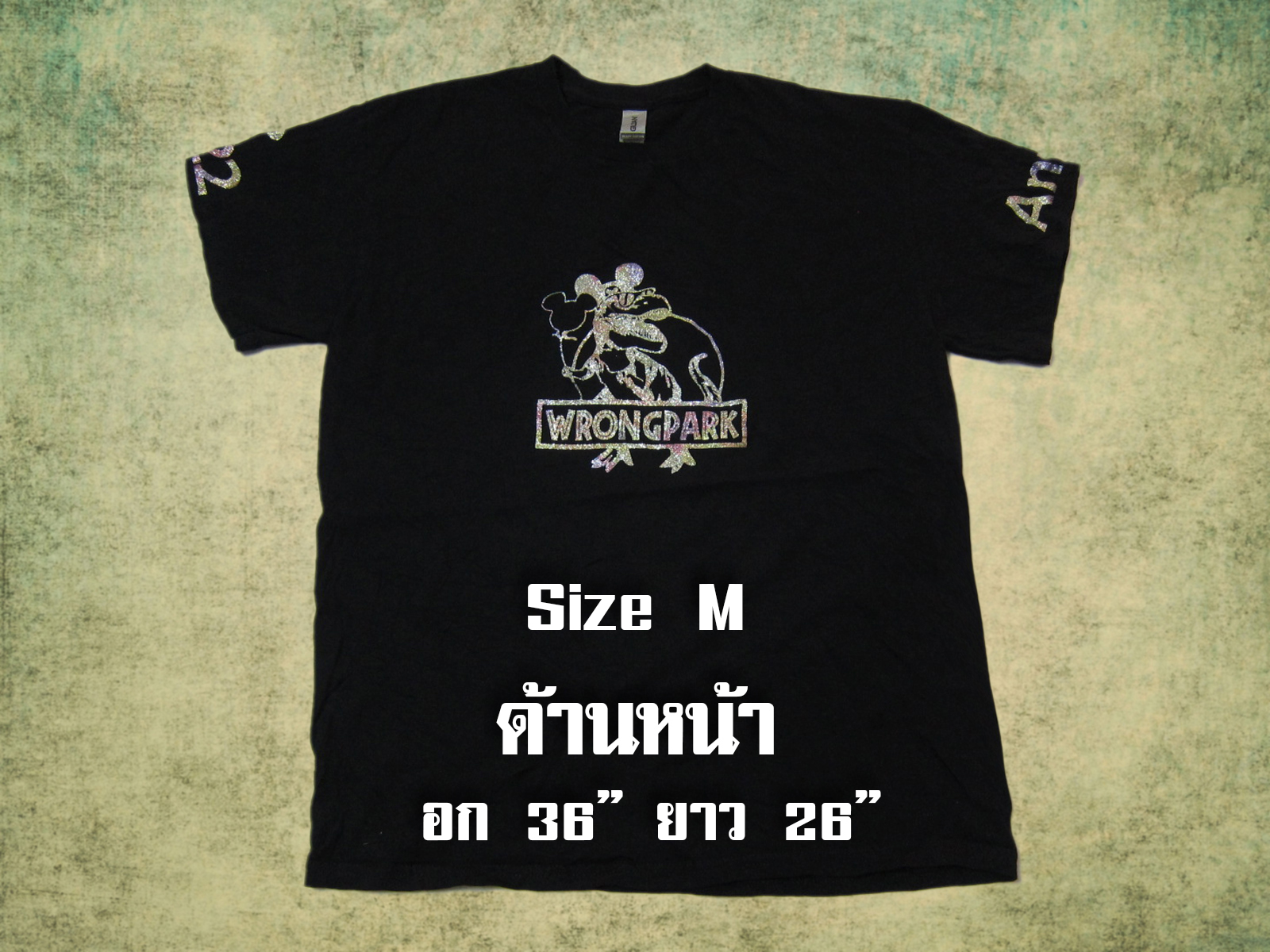 เสื้อยืดมือสอง USA แนววินเทจ (แขนสั้น)