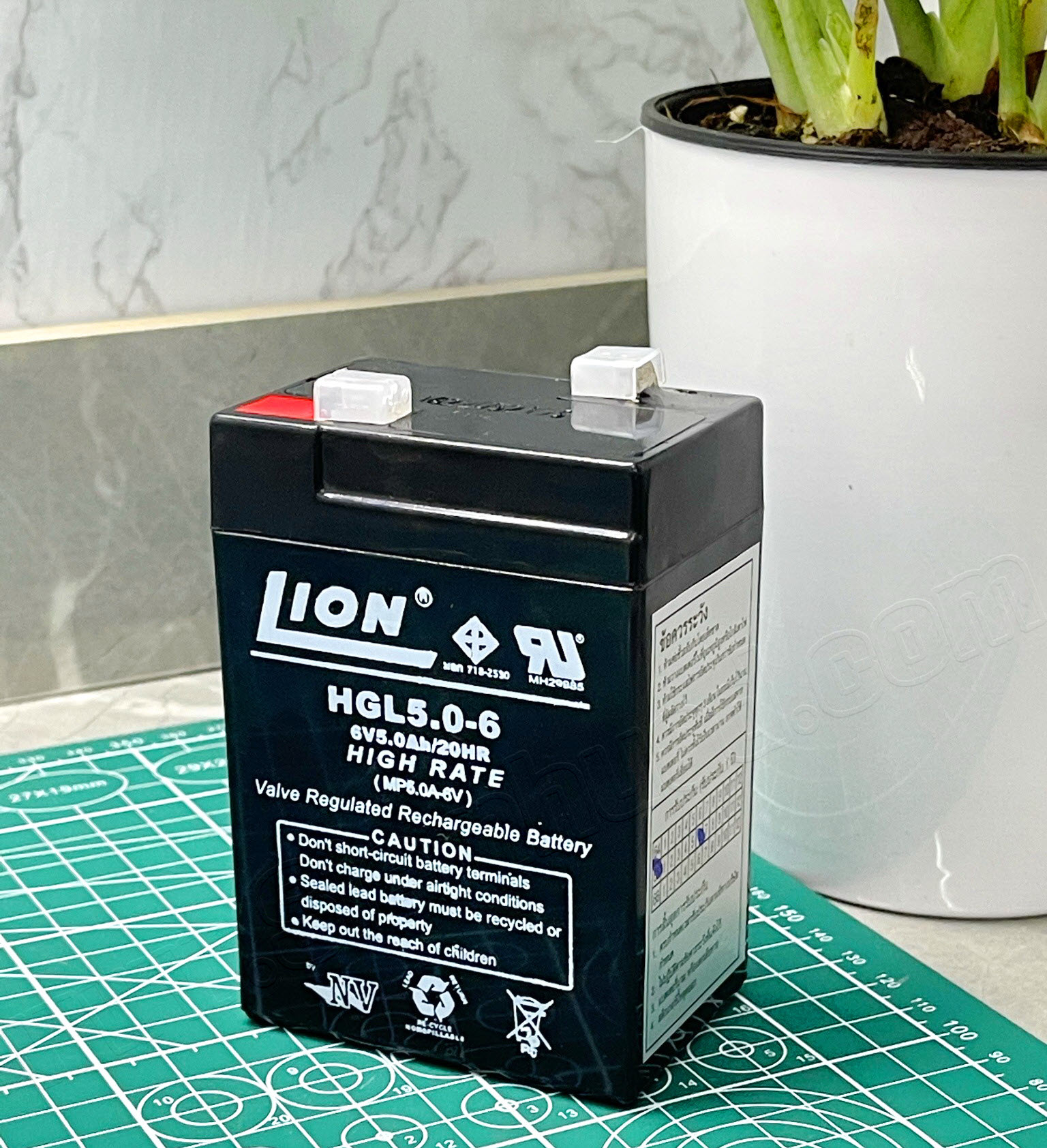 แบตเตอร์รี่แห้ง Sealed Lead-Acid Battery (LION) HGL series ขนาด 6V และ 12V, รุ่น HGL5.0-6, HGL5.0-12, HGL5.5-12, HGL7.5-12, HGL9.0-12, HGL20-12, HGL22-12