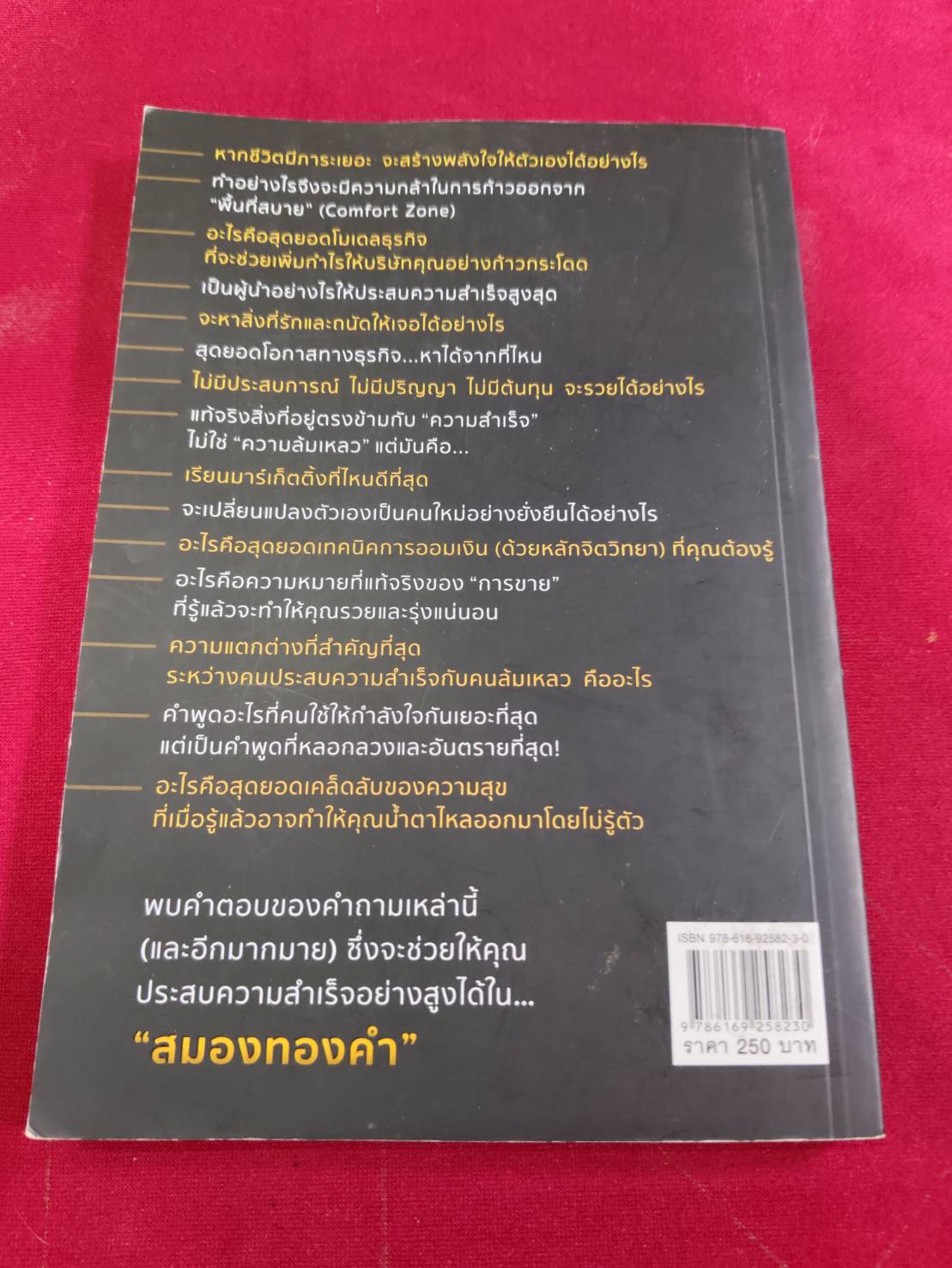 สมองทองคำ ขุนเขา สินธุเสน เขจรบุตร เขียน