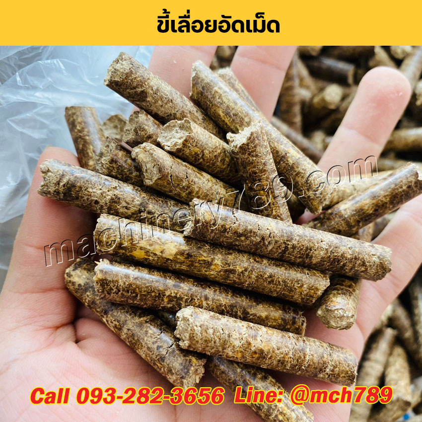เครื่องอัดเม็ดเชื้อเพลิงชีวมวลขนาดเล็ก MINI กำลังผลิตเริ่มต้น 150-1,200 กก./ชม. เครื่องอัดเม็ดเชื้อเพลิงชีวมวล เครื่องอัดแท่งชีวมวล เครื่องอัดเม็ดรุ่นเล็ก Mini Wood Pellet Making Machine