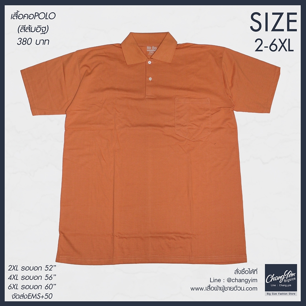 Polo 12สี สำหรับผู้ชาย ไซต์ใหญ่ Size 2XL 4XL 6XL (Mr.big)