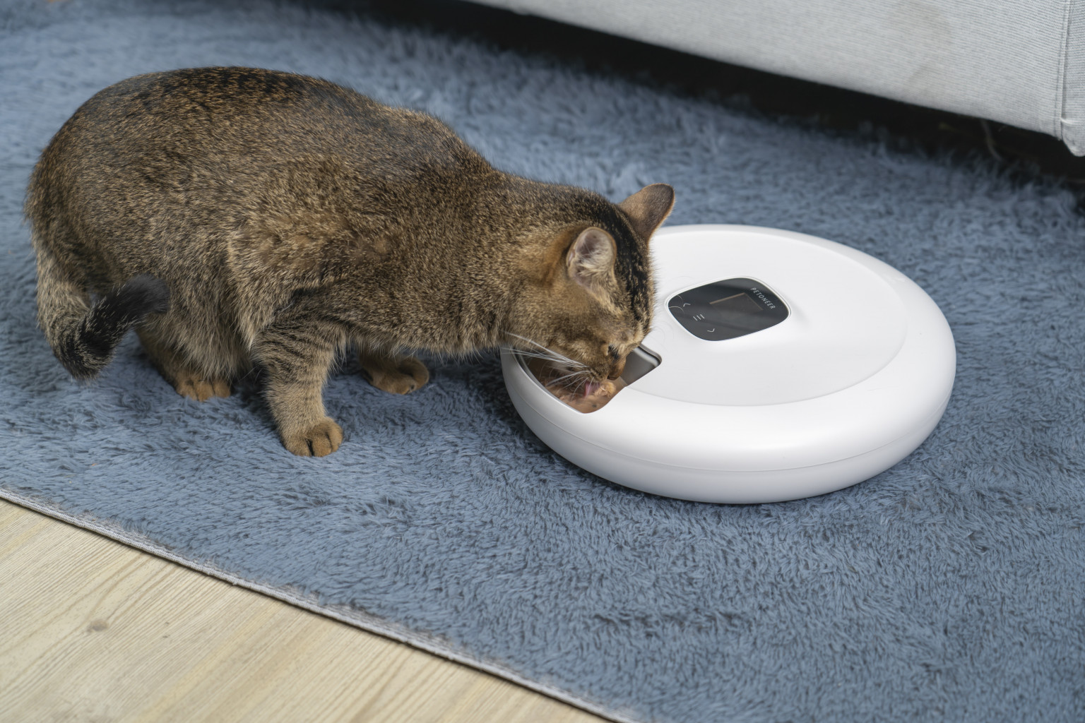 เครื่องให้อาหารสัตว์ Petoneer NutriSpin 6 Meal Pet Feeder PF001 II รับประกัน 1 ปี