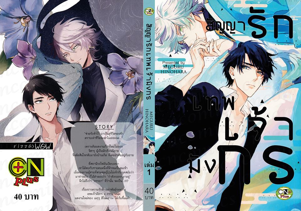 สัญญารักเทพเจ้ามังกร เล่ม 1 : MEGURU HINOHARA