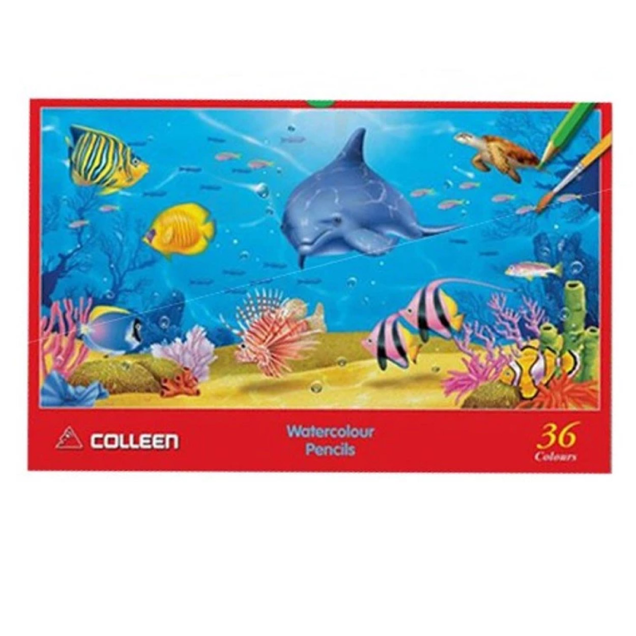 สีไม้ระบายน้ำ คอลลีน COLLEEN Watercolour Pencil 12 / 24 / 36 สี