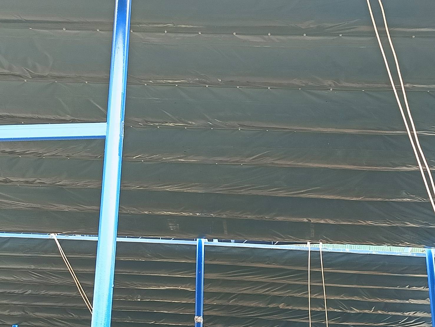 pabaithai ตรัง โรงไม้