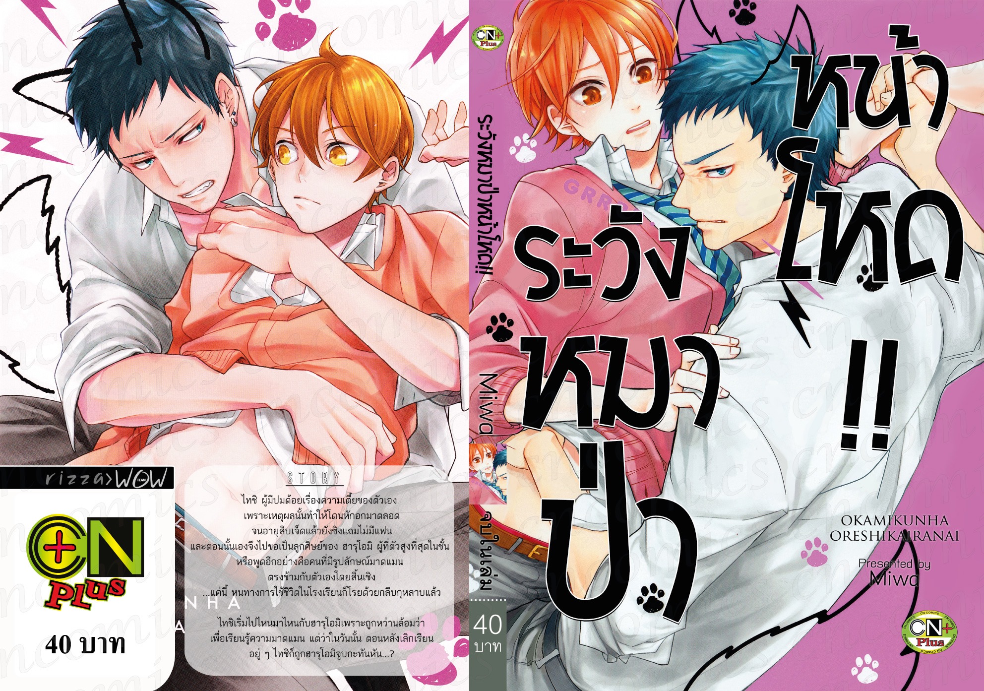 ระวังหมาป่าหน้าโหด!! : Miwa
