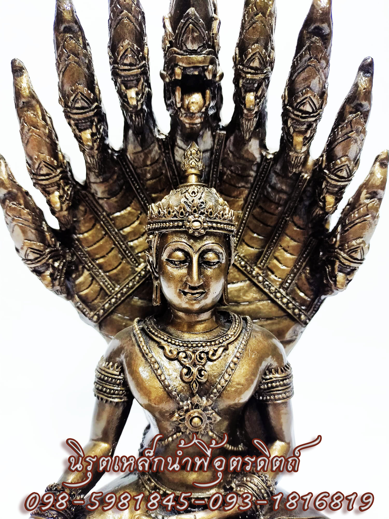 พระนาคปรก พระจักรพรรดิ์นาคปรก เนื้อแร่เหล็กน้ำพี้หน้าตัก 5 นิ้ว รับประกันของแท้จากบ้านน้ำพี้