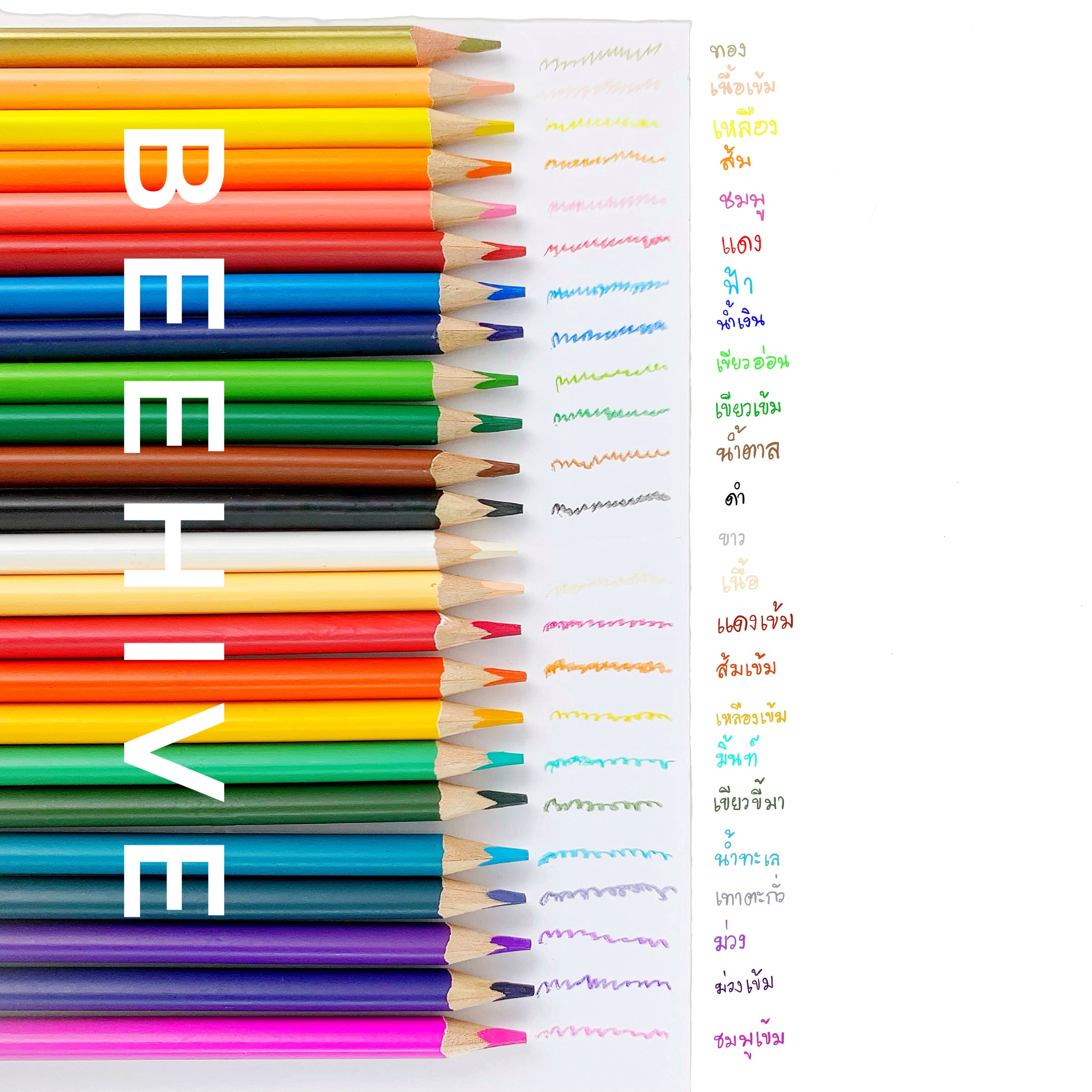 ดินสอสีไม้ Bee hive ขายแยกด้าม เลือกสีได้