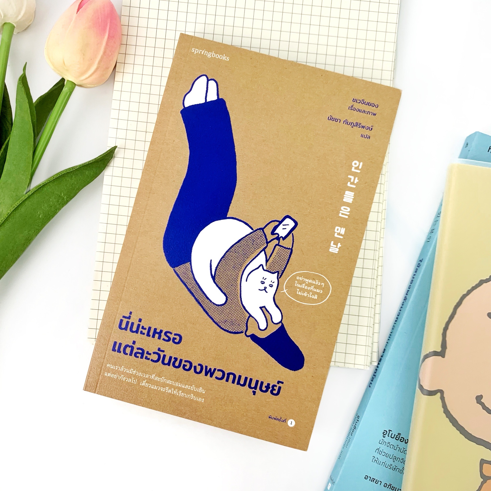 นี่น่ะเหรอ แต่ละวันของพวกมนุษย์